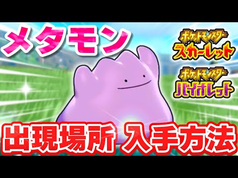 【ポケモンSV】メタモンの出現場所&入手方法を解説！【スカーレット・バイオレット】【ゆっくり実況】