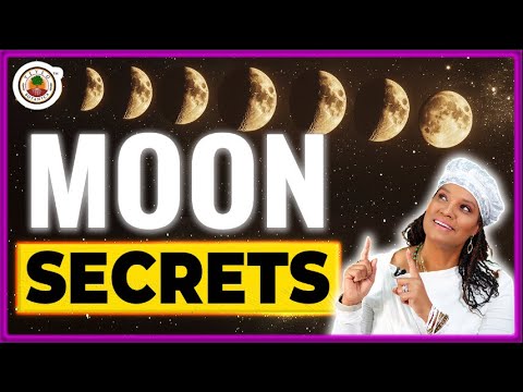 How 5 Moon Phases Can Change Your Life  | Yeyeo Botanica