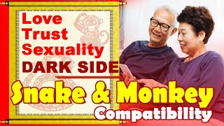 Snake and Monkey Compatibility in Love, Life, Trust, Intimacy | Snake & Monkey Zodiac Compatibility