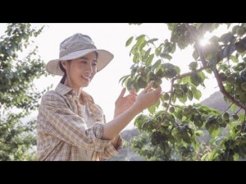 체류형쉼터가 농지 개혁, 귀농귀촌, 지방인구 유입 혁명의 주역! 윤석열대통령과 이재명 민주당 국회의원들 국민들에게 희망을 주세요