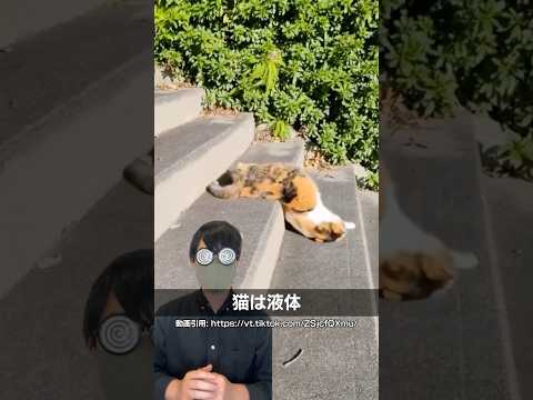 【解説】猫は液体か#shorts