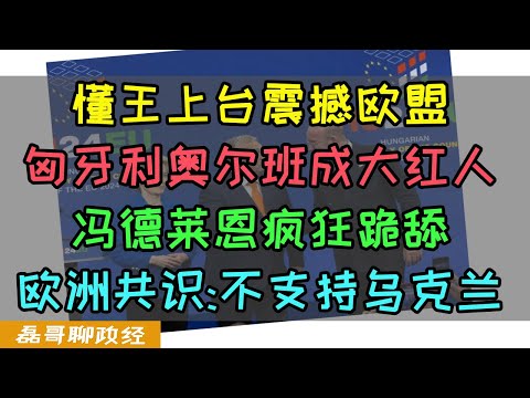 懂王上台欧盟崩溃！匈牙利奥尔班成大红人，冯德莱恩急忙跪舔！泽连斯基崩溃！欧洲峰会达成共识：不再寻求支持乌克兰