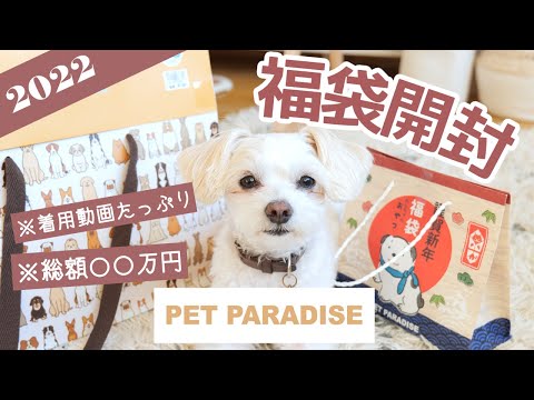 【2022年犬の福袋】※可愛い着用動画たっぷり🐶ペットパラダイス福袋を愛犬と開封！驚きの中身は総額○○万円…！！