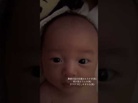 目が忙しすぎる赤さん👶🏻 #男の子ベビー #赤ちゃん #赤ちゃんのいる生活 #おもしろ動画 #3ヶ月ベビー　#男の子のママ #癒し動画