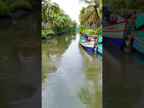 Kerala’s backwaters, a paradise on Earth 🌴🌴🌴✨#reels #shorts #short #viralvideo