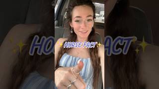 The horse was…HOW OLD?!😳👴🏻 #horsefacts #equestrian #horsevideo #pony #horse #horseenthusiast