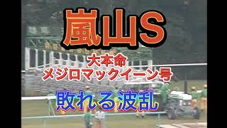 【思い出のレース名場面100選　ＰＡＲＴ3】メジロマックイーンと嵐山Ｓ