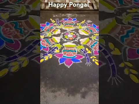 Happy Pongal / பொங்கல் நல்வாழ்த்துகள் 🎍#shorts #pongal #wishes