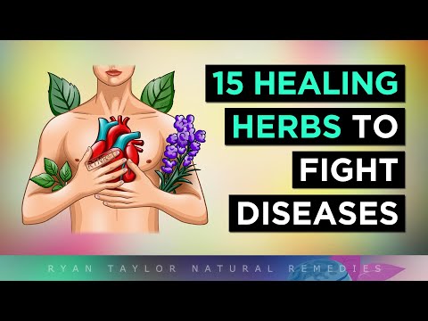 15 Most POWERFUL Medicinal Herbs To Heal Your Body