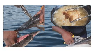 FISH FRY FRIDAY! GARFISH CLEAN & COOK #fishfryfriday #garfish #catchcleanandcook #delicious #food