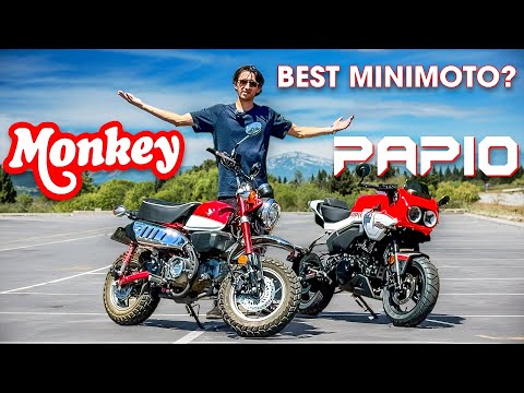 2024 CFMoto Papio SS vs Honda Monkey - Both Look Great, But Which One Should You Buy?