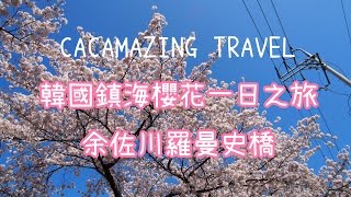 （Blog小片段）[首爾] 韓國鎮海櫻花一日遊！余佐川羅曼史橋｜吃貨伴旅