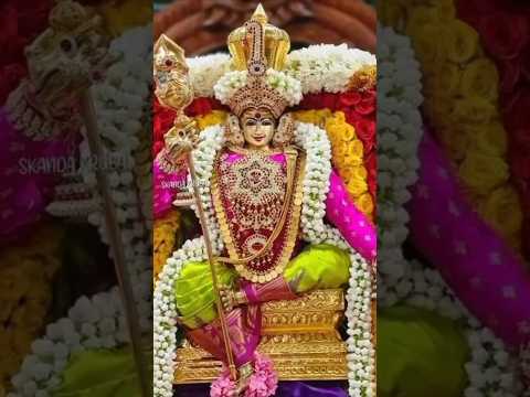 ##MURUGAN#APPAN#TRENDING MURUGAN#GOD#AROGARA#DEVOTIONALSONGS #BAKTHISONGS #saamisongs#TRENDING