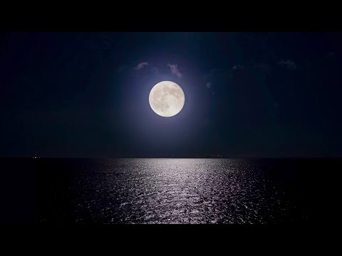 🔴 Deep Sleep Music 24/7, Calming Music, Insomnia, Sleep, Relaxing Music, Study, Sleep Meditation