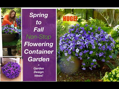 Spring to Summer Non-Stop Flowering Container Garden +🍃Garden  Design Ideas! Shirley Bovshow