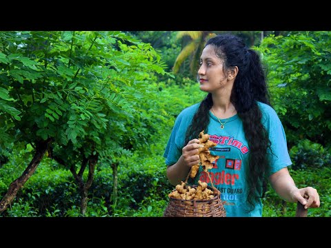 It's all about one of the most wanted spicy for the kitchen| Ginger | Poorna - The nature girl |