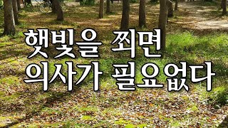 햇빛을 쬐면 의사가 필요 없다 / 우쓰노미야 미쓰아키 지음 / 성백희 옮김 / 전나무숲 펴냄