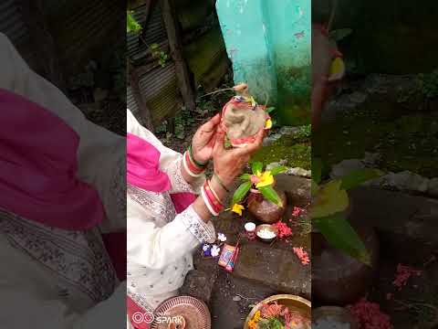 Nag panchami visharjan