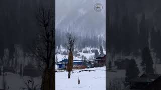 Kashmir | Arangkel | Neelum valley #neelum_valley #kashmir #tourism #northpakistan