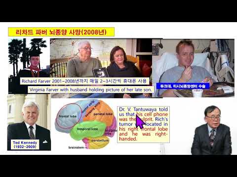 [환경과 건강] 인공 전자파와 인체 건강, #암, #당뇨, #심장병