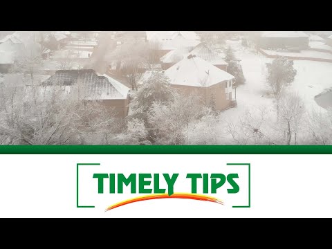 Prepare a Winter Weather Car Kit | Menards