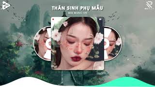 Thân Sinh Phụ Mẫu Remix - Bìn x Jin Tuấn Nam | Tóc Mẹ Bạc Màu Mây Phủ Kín Đôi Vai Gầy Hot TikTok