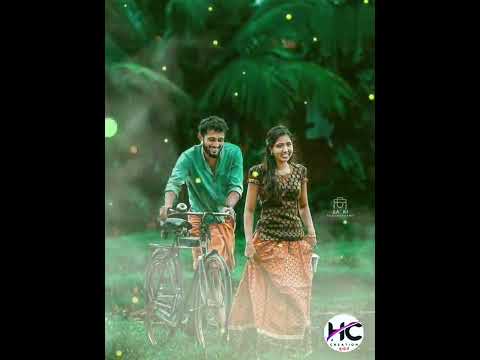 बुन्देली स्टेटस राई //bundeli whatsapp status 💓💓❤jittu khare rai status🔥🔥bundeli song