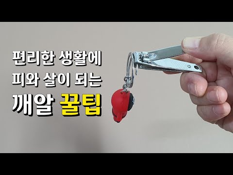 손톱을 깎을때보다 더 유용한 손톱깎이 200% 활용하는 꿀팁