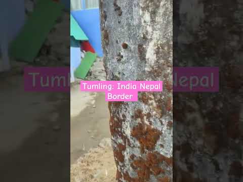 Nepal Border: Tumling | both the countries share the same road. #shorts