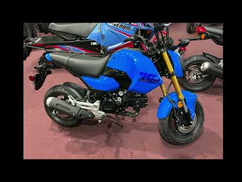 2025 Honda Grom MiniMOTO - Belle Plaine MN