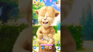 Cat fun #short Subscribe now for more#shorts #funny