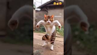 #cat #biya #catlover #funny #animals #love #viral #oldhindidjremixsong #comedy #musicremix