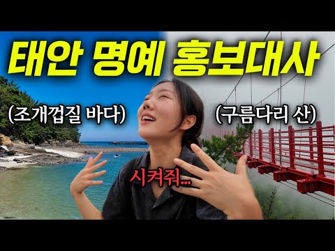 태안의 숨은 명소를 찾아서..⭐️ 바다와 산을 넘나드는 명예 홍보대사의 알찬 하루 | 시골일상