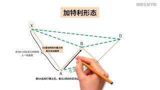 视频 1：如何寻找、识别加特利形态