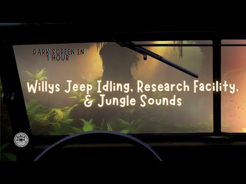 Ultimate Sleep Sounds ⨀ Willys Jeep Idling, Jungle Ambience & Research Station Serenity