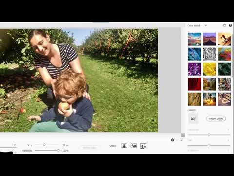 The Color Match tool in Photoshop Elements 2024