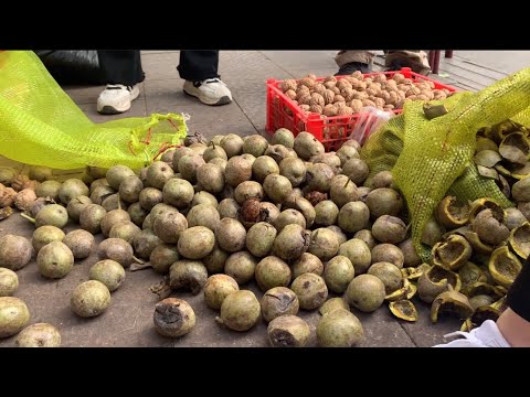 [중국 호두 열매껍질 까기] Peeling raw walnuts , fresh walnuts