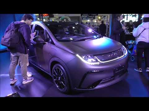 BYD Dolphin Long Range 2024 Exhibition-only dress-up car