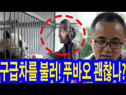 (충격) 쉬샹 사육사는 푸바오의 손에서 갑자기 음식을 빼앗고 던져버렸다. "이거 먹지마...위험해" 구급차를 불러! 푸바오 괜찮나? 한 직원이 푸바오에 큰 실수를 하여 해고당했다