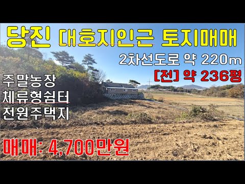 [급매]당진토지매매[ 4,700만원] -전 236평 - 낮은 산자락아래 주말농장, 체루형쉼터, 전원주택, 농가주택, 시골주택, 주말주택, 세컨하우스 등...