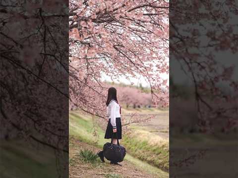 體驗日本高中生的一天🌸特別的賞櫻回憶😆