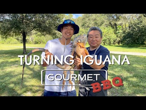 LIVE Iguana Catch & Cook: Turning Iguana Into Gourmet, FEAT: DannyGrubs & The Iguana Man