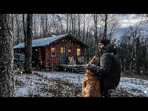 ESCAPING THE COLD IN A REMOTE CABIN with my Dog!