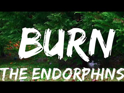 The Endorphins - Burn (Lyrics)  | Music one for me