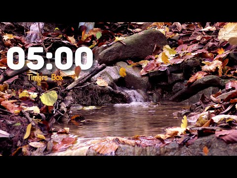 5 Minute Timer with Autumn Waterfall Sound 🍂🌊 Relaxation, Nature Ambience #NatureSounds #BreakTime