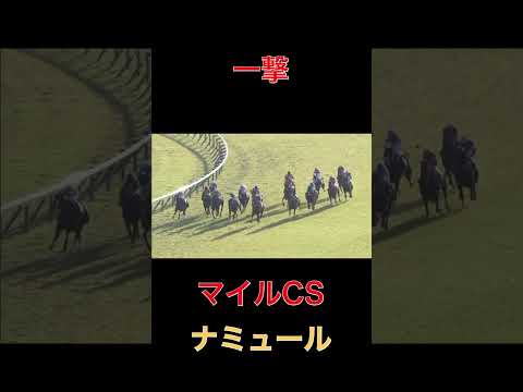 一撃のナミュール【マイルCS】#競馬