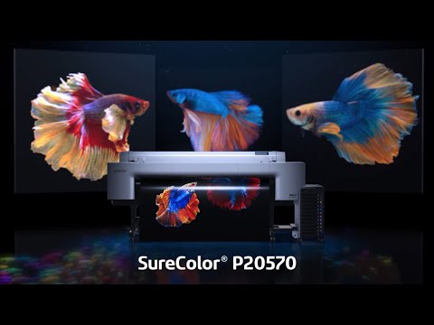 SureColor P20570 64-inch Professional Printer | The Art of Performance