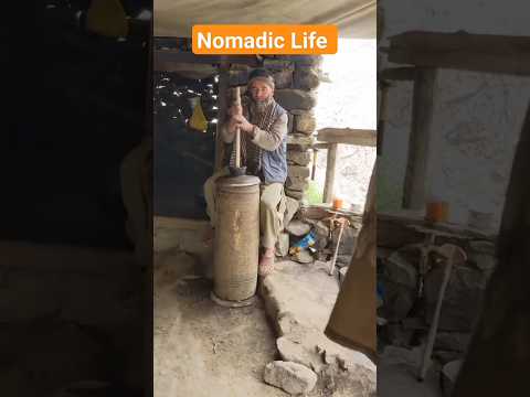 Nomadic Life #villagelife #indigenous #baltistanculture #youtubeshorts #ytshorts #