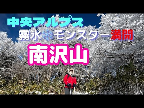 【冬登山】中央アルプス南沢山～横川山は霧氷モンスターが満開❄