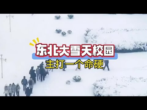 东北的大雪天真是要命呐 ＃东北 #大学生 #内容过于真实